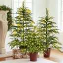 Cinnvoice Christmas 3ft 4ft 5ft Potted Pre-lit Twinkle LED Cypress Norfolk Artificial Christmas Tree, Faux Potted Plants with a Woven Basket Base for Front Porch Indoor Outdoor Decor(Cypress Tree)