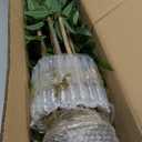 Artificial Bamboo Tree, 5 ft Fake Tree, Faux Silk Plant with Pot, Fake Plants for New Year Home Office Indoor Outdoor Decor, 5 Natural Bamboo Trunks