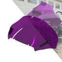 Purple Road Glide Windshield