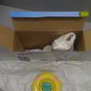 TOMY Toomies Splash & Float Bingo and Bluey Water Toys - 2-in-1 Toddler Bath & Pool Play Set with Pour Cups & Water Wheels - Ages 18 Months+