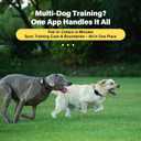GPS Wireless Dog Collar Fence System - No Monthly Fee App Control, Custom Polygon Boundary & Remote Training, Free Phone Tracker for Up to 5 Pets, Virtual Electric Fence for Dogs, Black