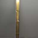 Neodrain 48-Inch Gold Linear Shower Drain, 2-in-1 Flat & Tile Insert Cover, Stainless Steel Linear Drain, Brushed Brass Rectangle Shower Floor Drain with Hair Strainer, CUPC Certified