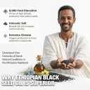 Ethiopian Black Seed Oil, Ethiopian Black Seed Oil Softgels |4.64% Thymoquinone | Non-GMO, Gluten-Free, 1 Box 60 Capsules (EXP 03/18/28)