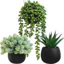Winlyn Set of 3 Artificial Succulent Plants in Black Concrete Pots Faux Aloe Hops String of Pearls Potted Plants Small Fake Plants Desk Plants for Home Office Desk Kitchen Bathroom Shelf Windowsill