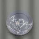 Salad Plastic Plates Set Premium 30pcs 7,5in