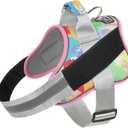 Bolux Dog Harness, No-Pull Reflective Dog Vest, Breathable Adjustable Pet Harness with Handle for Outdoor Walking - No More Pulling, Tugging or Choking (Large (Pack of 1), OilPainting)