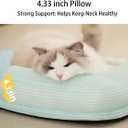 All-Season Ice Fabric Cat Bed with Cushioned Pillow/Play Ball/Washable Mat for Cats, Kittens & Small PetsGreen, Large-25"x19"x4"