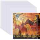 30 Pack 4 Mil Thick Vinyl Sleeves, 12.75" X 12.75" Vinyl Record Sleeve Clear Plastic, Outer Sleeve Record Protector for Storing Single and Double LP Albums, Record Sleeves Protection from Scratches
