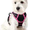 rabbitgoo Dog Harness No Pull with 2 Leash Clips, Adjustable Soft Padded, Reflective Oxford No Choke Pet Vest with Easy Control Handle for Large Dogs, Black & Hot Pink, XS