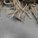 EBOOT 4 x 6 ft Woven Area Tan Rug Woven Rug Tassel Rugs Neutral Mat Cotton Modern Indoor Entryway Accent Rugs Floor Carpet with Tassel for Living Nursery Dining Room Bedside Office Patio Decor