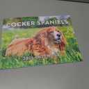 Cocker Spaniel Calendar 2026 Wall 12 Month Monthly Cocker Spaniels Gifts For Cocker Spaniel Lovers Women Men Mom Dad | American Made In The USA