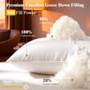 LIANLAM Canadian White Goose Down Pillow Standard Size - 750+ Fill Power, 800 Thread Count Cotton Shell, Soft Down Pillows, Hotel Luxury Bed Pillow for Neck Pain Relief (1 Pack, 20"x26")