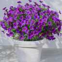 SHUERIET 12Pack Fake Mums Plants Artificial Fall Flowers for Outdoor Indoor Porch Yard Garden Decor, Faux Flower Daisy with Eucalyptus Leaves Boxwood Porch Patio (Daisy Purple)