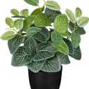 14.5" Artificial Plants Indoor Home Decor, Fake Potted Silk Plants for Shelves, Desks, Living Room, Home & Office Decor, Small Artificial Nerve Plant in Pots, Faux Potted Greenery Tropical House Plant