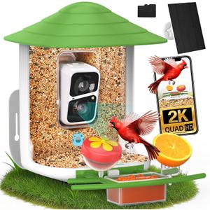 birdsnap TUC Bird Feeder with Camera 2K HD, Solar Panel 32GB Card 4-in-1 Perch, 160View Auto Detect & Notify AI Identify Video Bird Camera Wireless Outdoors Ideal Gift for Bird Lovers (Green)