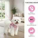 Dog Harness with Leash Set, No Pull Adjustable Reflective Step-in Puppy Harness with Thickened Padded Vest for Extra-Small/Small Medium Dogs (Pink, Medium)
