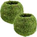 KO02 Kokedama-6.5 x 5.9, Set of 2, Green