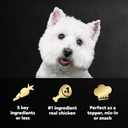 Cesar Simply Crafted Wet Dog Food Toppers for Dry Food, Chicken, Duck, Purple Potatoes, Pumpkin, Green Beans & Brown Rice, and Chicken, Carrots, Barley & Spinach Variety Pack, 1.3 oz Tubs, 8 Count (EXP 11/29/27)