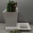 7FT Artificial Dracaena Tree, Fake Tree Indoor with White Tall Planter, Tall Artificial Plants Indoor, Artificial Silk Tree for Home Office Decor Plants Indoor Outdoor, Housewarming Gift (White)