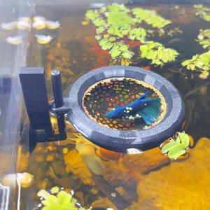 HOZOE Fish Tank Floating Betta HideBetta or Shrimp Burrows and Hammock, Fish and Shrimp FeederMultifunctional Aquarium AccessoriesAnchorable Location (Black)