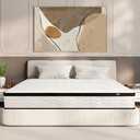 MOLBIUS TWIN Size Mattress 10 Inch |TWIN Mattresses in a Box Hybrid | Medium Firm Feel Memory Foam and Individual Pocket Springs | Fiberglass Free Bed Matress | Breathable | CertiPUR-US | Upgrade