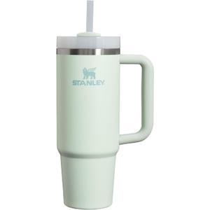Stanley Quencher H2.0 Tumbler with Handle and Straw 30 oz | Flowstate 3-Position Lid | Cup Holder Compatible for Travel | Insulated Stainless Steel Cup | BPA-Free | Mist (30 Ounces)