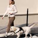 DF No Pull Step-in Martingale Dog Harness, Help Stop Pulling & Choking, Reflective & Adjustable, Front Clip Harness with Lift Handle, Tactical Silent Metal Buckle, Black, 3/4", Front Chest 13.2"-16.0"