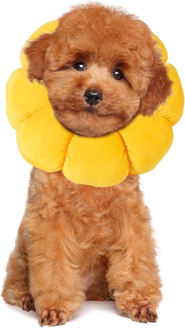 HOMBYS Soft Dog Cone for Dogs and Cats, Cute & Fluffy Flower Shape for Claming, Adjustable Dog Collar Alternative After Surgery, Protective Elizabethan Collar for Dogs Recovery & Stop Licking, M (Yellow)