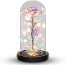 Norcalway Galaxy Rose Flower Gift for Mom from Son, Daughter - LED Light Glass Flower with Timer for Woman, Girlfriend, Wife