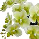 5 Artificial Orchid Flower Stems 18 Inches Real Touch Faux Phalaenopsis Stems Fake Orchid Flowers Arrange for Wedding Bridal Bouquets Home Office Indoor Decorations (Green)