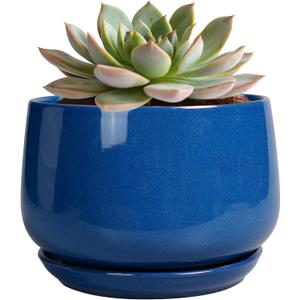 G EPGardening 6 Inch Plant Pot - Round Ceramic Planter Indoor with Drainage and Ceramic Saucer for Flower, Modern Desk Decor, Modern Garden Gift, Blue