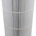 Pentair R178671 125 Square Feet Cartridge Element Replacement Clean and Clear Pool and Spa Filter
