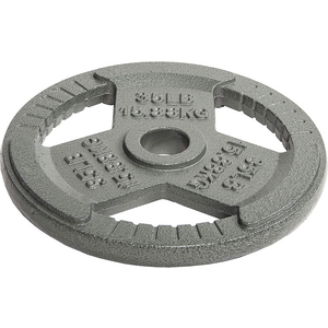 HulkFit 1-inch Iron Plate for Strength Training, Weightlifting, Single (35 Pounds), Silver
