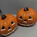 2 Pack Plastic Jack O Lantern Pumpkins Halloween Light up Pumpkin with 2 Pack Plastic Bugs Fake Roach Spider Outdoor Indoor Battery Operated Lighted Halloween Pumpkin Decorations Party Favor Gifts