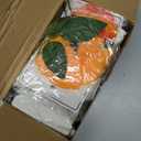 XunYee 6 Pcs 35.4 ft Flower Garlands Artificial Wildflower Vines Floral Hanging Backdrop Fake Flower Garlands Faux Silk Wildflower Vine for Wedding Bridal Shower Home Garden Wall Arch Decor(Rose)