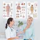23 Human Anatomy Posters and Charts - 18x30, Medical Posters, Anatomy of the Skull, Injury, Breast, Skin, Ligaments of The Joints, Circulatory, Skeletal, Reproductive, Muscular, Injuries, Nervous Systems, Spine, Brain, Ear, Nose & Throat, Heart, Eye, Teeth, Science Biology Health Poster for Classroom, Office - Laminated
