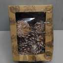 JOHOUSE 16PCS Snow-Dusted Natural Pine Cones with Gold String – 2-2.5in Pinecone for Crafts, Thanksgiving & Christmas Tree, Wreath/Garland DIY, Table/Bowl/Vase Fillers, Fall Winter Home Decor