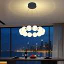 Dia 16" Modern Ring Chandeliers Black Round Pendant Light Fixture Globe Chandelier for Dining Room Living Room Bedroom