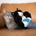 Cat Wrestling Glove Puppet Interactive Hand Mitt with Durable Protective Sleeve and Catnip - Play & Enrichment