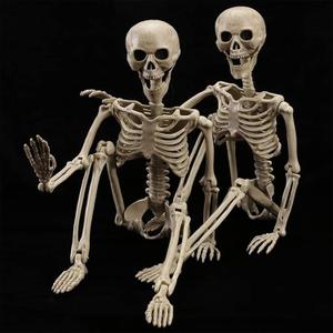 HBSTK 2 Pack 40 Inches Halloween Skeleton Full Body Posable Movable Jonints for Halloween Decoration Dcor