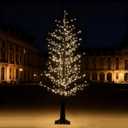 5FT Black Lighted Birch Tree with 800 Warm Lights, Prelit Christmas Tree with Twinkle Lights, Indoor LED Birch Tree with Timer, Christmas Holiday Decoration