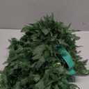 Beistle Womens 50456 Tropical Fern Leaf Hula Skirt, 24", Green, 0 US