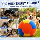 Herding Ball for Dogs, 22 Inch Upgraded Dog Push & Chase Ball with Thickened Bite & Tear Resistant Cover, Burst-Resistant Inner Ball, Outdoor Exercise Toy for Active Dogs, Multi-Color, Large