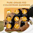 Sugar-Free Bovine Colostrum Supplement Gummies,Grass-Fed Colostrum for Women &Men, Gut Health, Immunity, Cognitive, Orange Flavor 120 Gummies with 40% IgG (60 Count (Pack of 2))