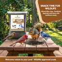 10 Pound Black Oil Sunflower Seeds for Birds Premium Wildlife Food Non - GMO -Grown in the USA - Black Oil Sunflower Seeds for Wild Animals and Backyard Feeders (EXP 06/30/27)