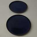 CSYY 2 Pack Large Dinner Plates, 10.5 Inch Blue Porcelain Salad Plates Round Ceramic Serving Dining Plate Set for Dinner Pasta Fruit Salad
