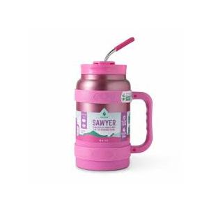 SAWYER Stainless Steel Tumbler With 2-In-1Lid and Reusable Straw