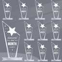 Roowest 10 Pcs Employee of The Month Plaque Trophy Employee Month Appreciation Award Gifts Bulk Coworker Acrylic Trophy Reward Sign Keepsake for Teacher Nurse Colleague Staff Volunteer Team Office