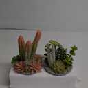 2-Pack Artificial Succulent Plants in Vintage Plastic Pots - Waterproof Fake Plants Decor for Home Office Desk - Low Maintenance Indoor Greenery for Bathroom, Shelf & Table