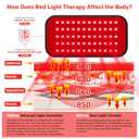 Red Light Therapy Belt, Infrared Light Therapy for Body, Wearable Wrap with Timer for Back Shoulder Waist Muscle Pain Relief, Improve Joint Inflammation, Red Light Therapy for Body, Size: L